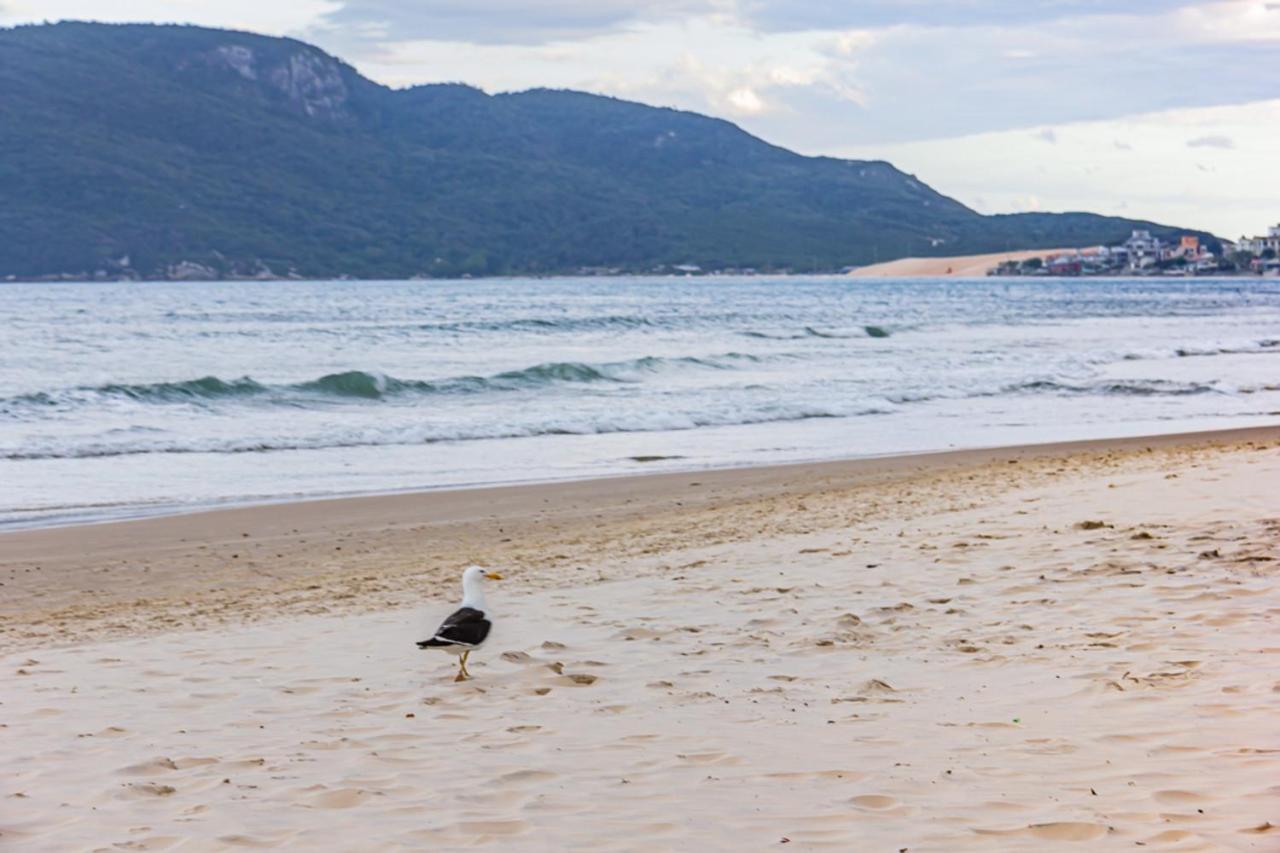 Cobertura Com Vista Mar Para 6 Hospedes, 150 Metros Da Praia Dos Ingleses Ing17 Florianópolis Екстериор снимка